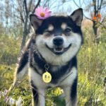 395529709_1357030931913952_8313859293099614995_n