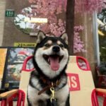 448096779_825084429117852_7031298358243748627_n