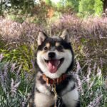 469555011_122184087062136264_2136617632435345347_n